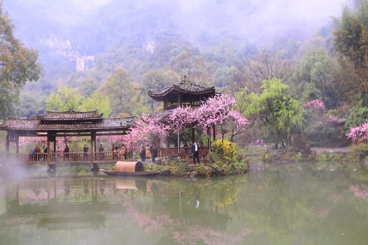 红枣和苹果一起当晚餐吃好吗?-关于红枣和苹果一起当晚餐吃好吗?的讨论社区