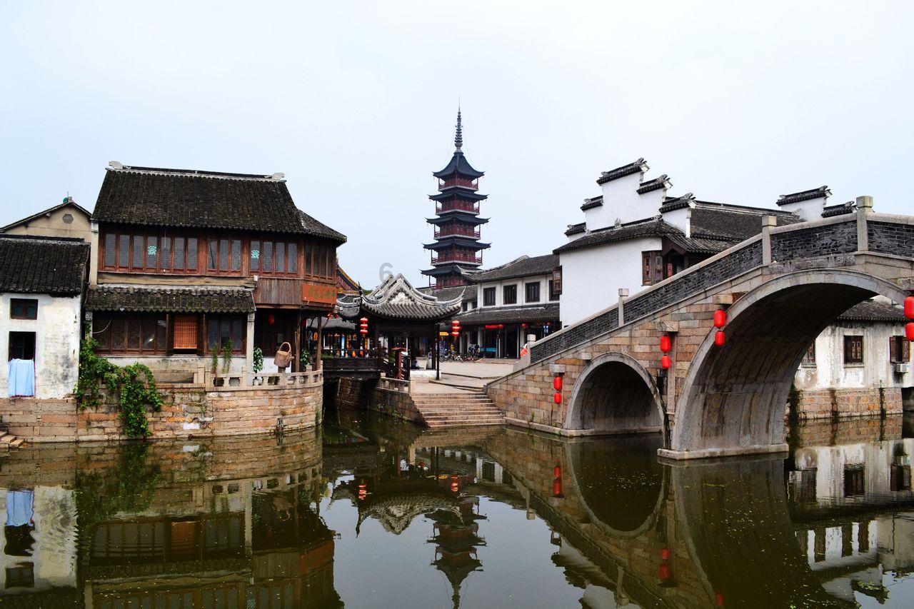 深度问答,尽在李子开花期能打赤霉酸【920】吗?蜗牛